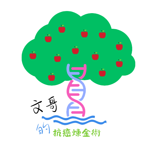 文哥的抗癌鍊金術